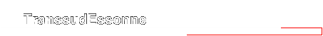 TranssudEssonne